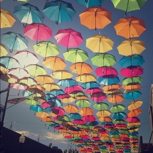 Meet your Posher, Savannah